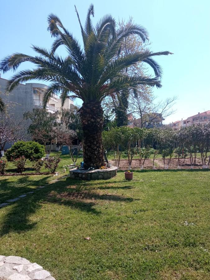 Néa Péramos Sofia'S Garden 아파트 외부 사진