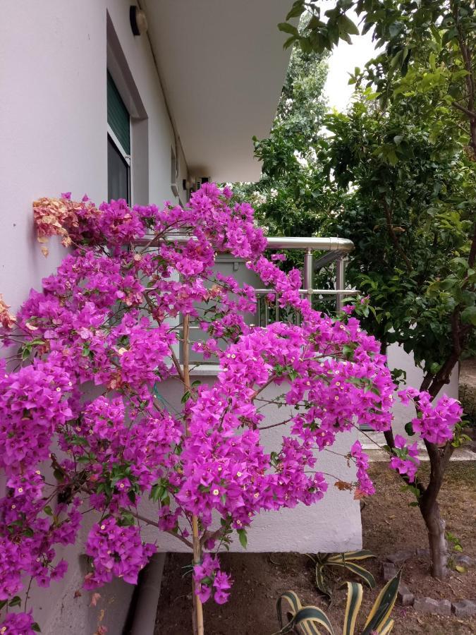 Néa Péramos Sofia'S Garden 아파트 외부 사진